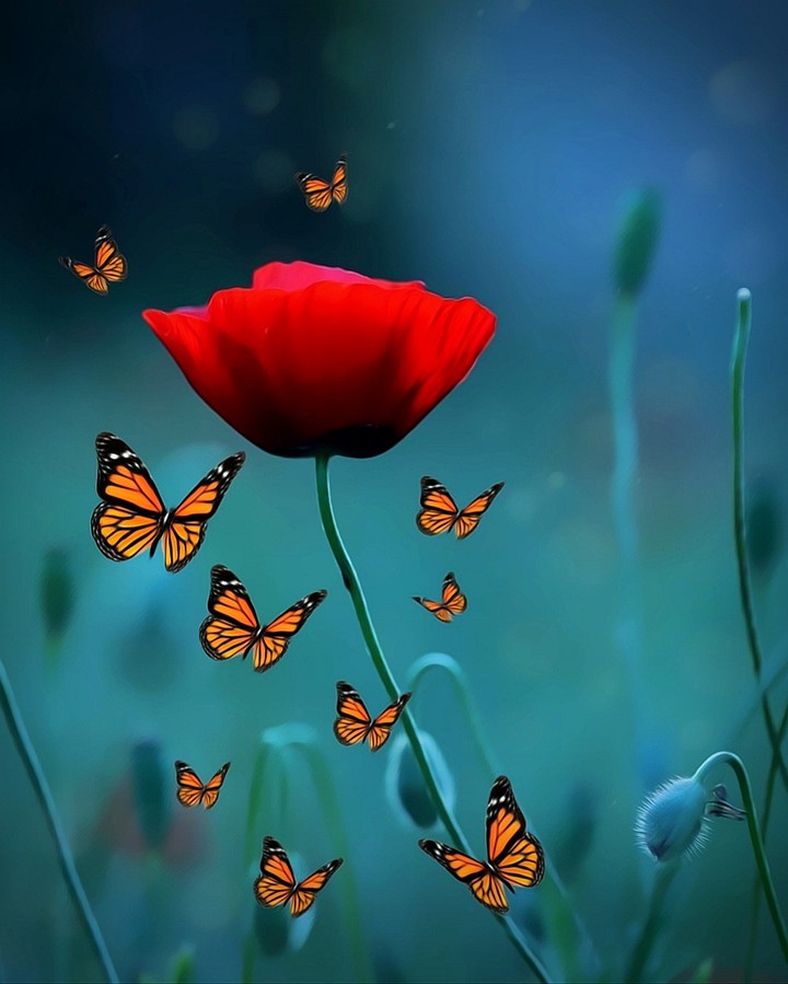 ❤️