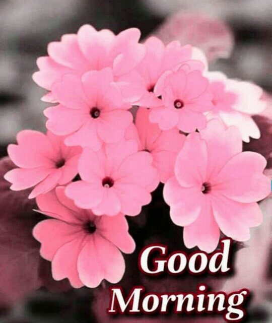 good morning