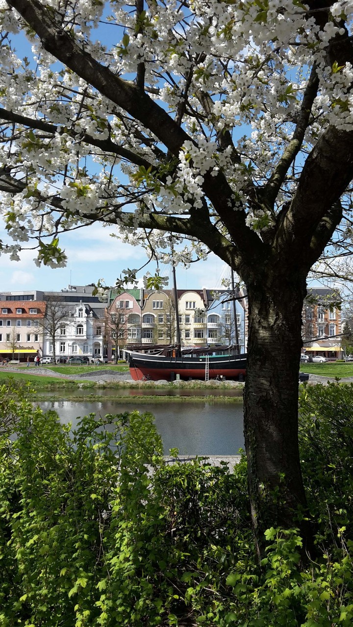 Frühling