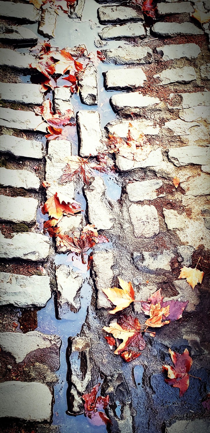 old_town