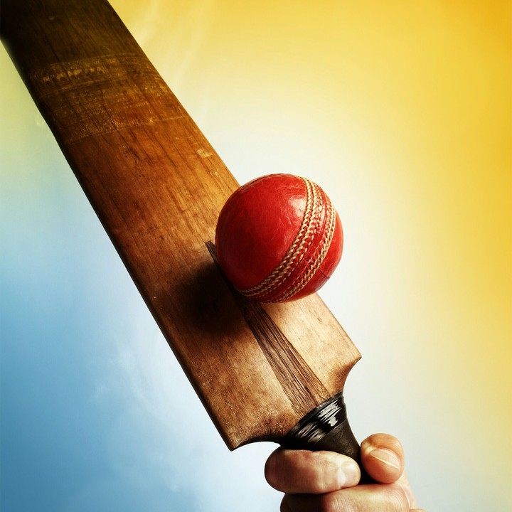 cricket