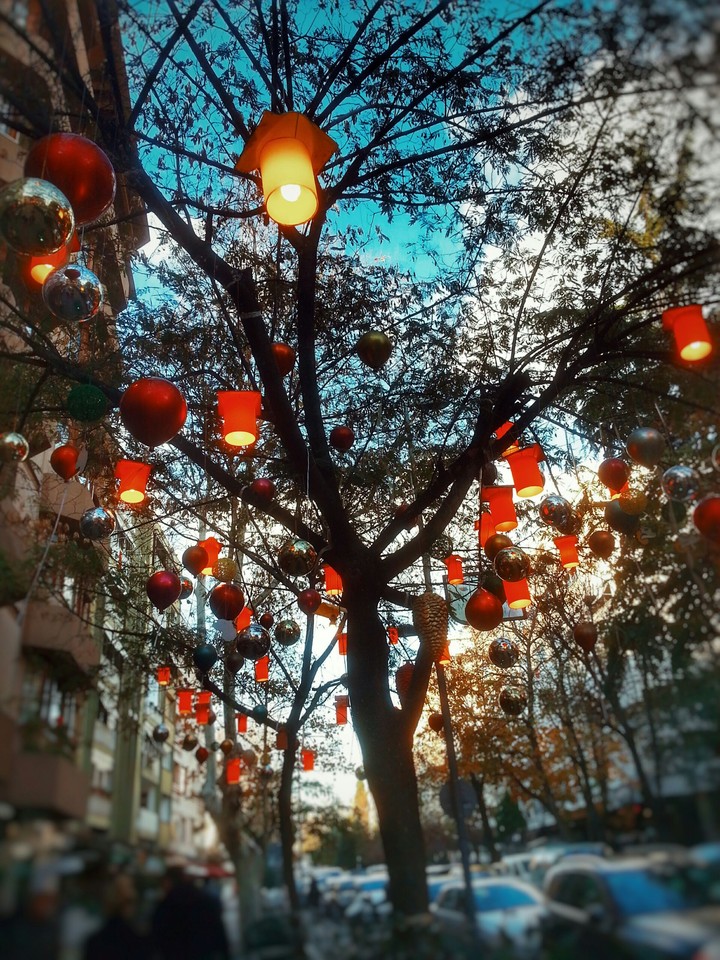 Moda