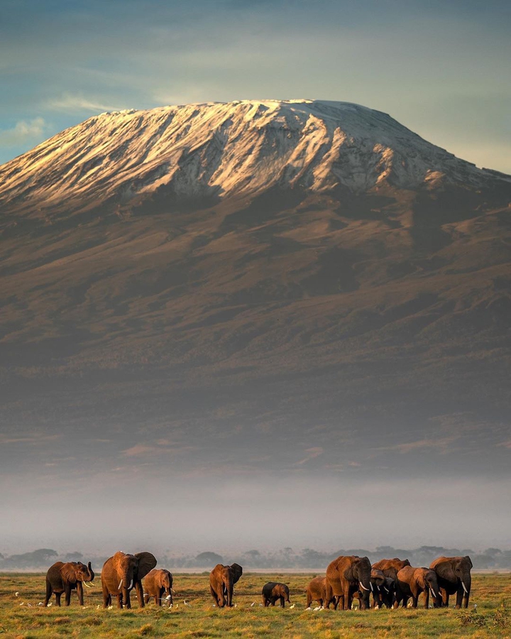 Elephant mountain