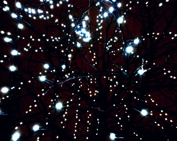 Christmas is here. ~