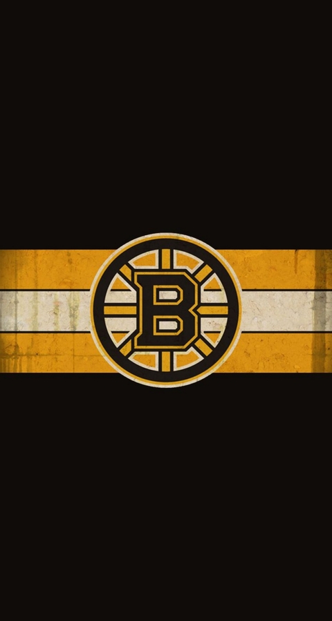 Boston Bruins