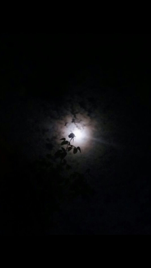 Sad night