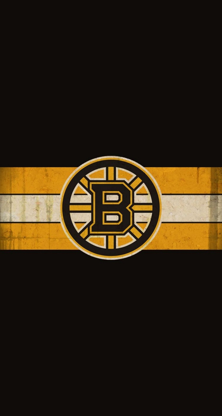 Boston Bruins