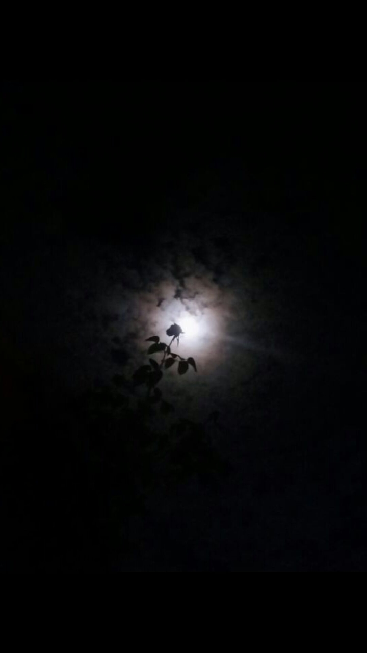 Sad night