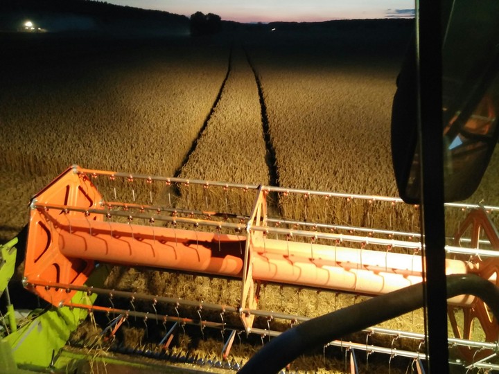 farm life - night