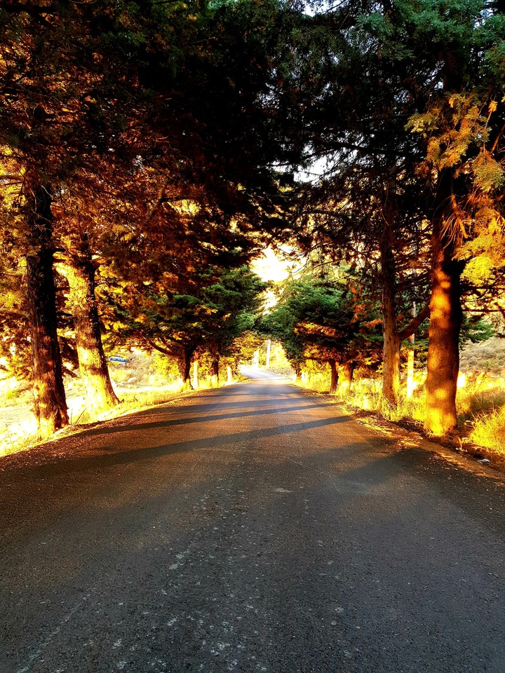 road to heaven