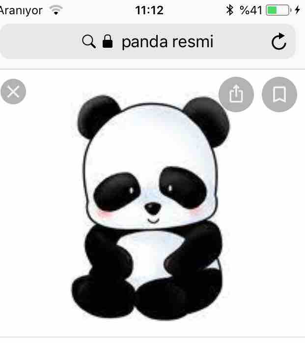 Little panda