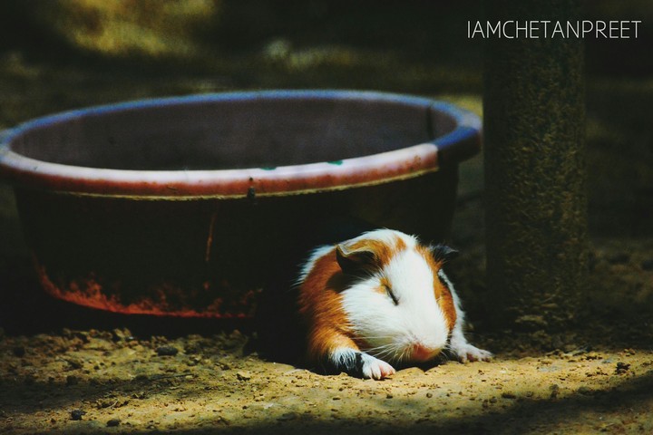 Sleep