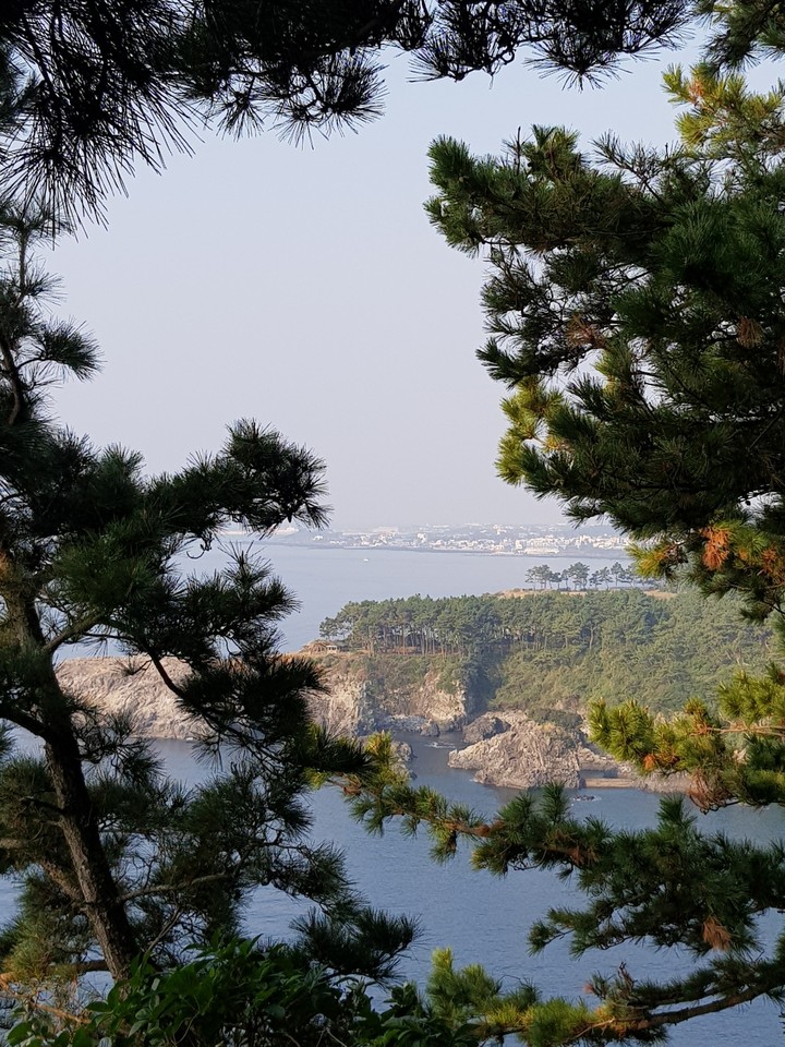 제주도