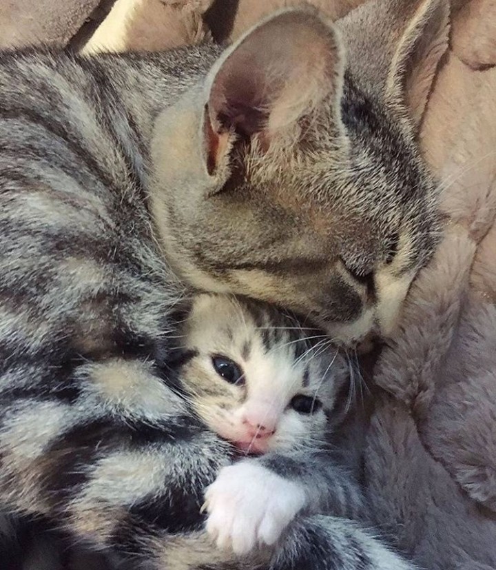 Need Hug