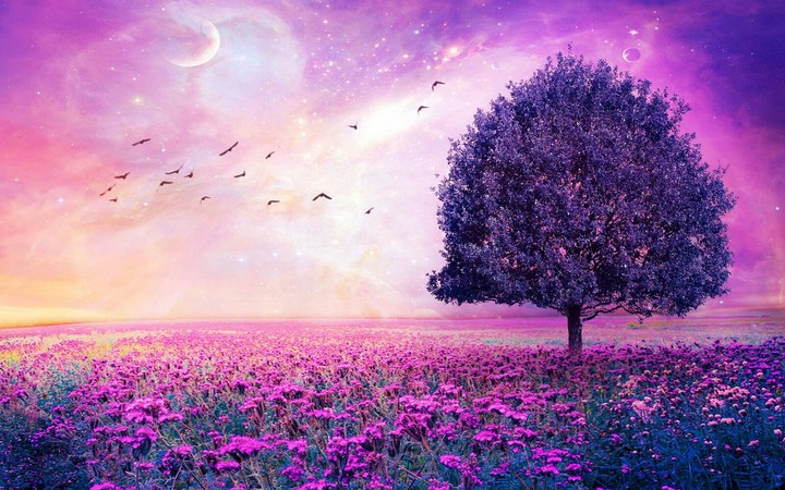 wow that's beautiful