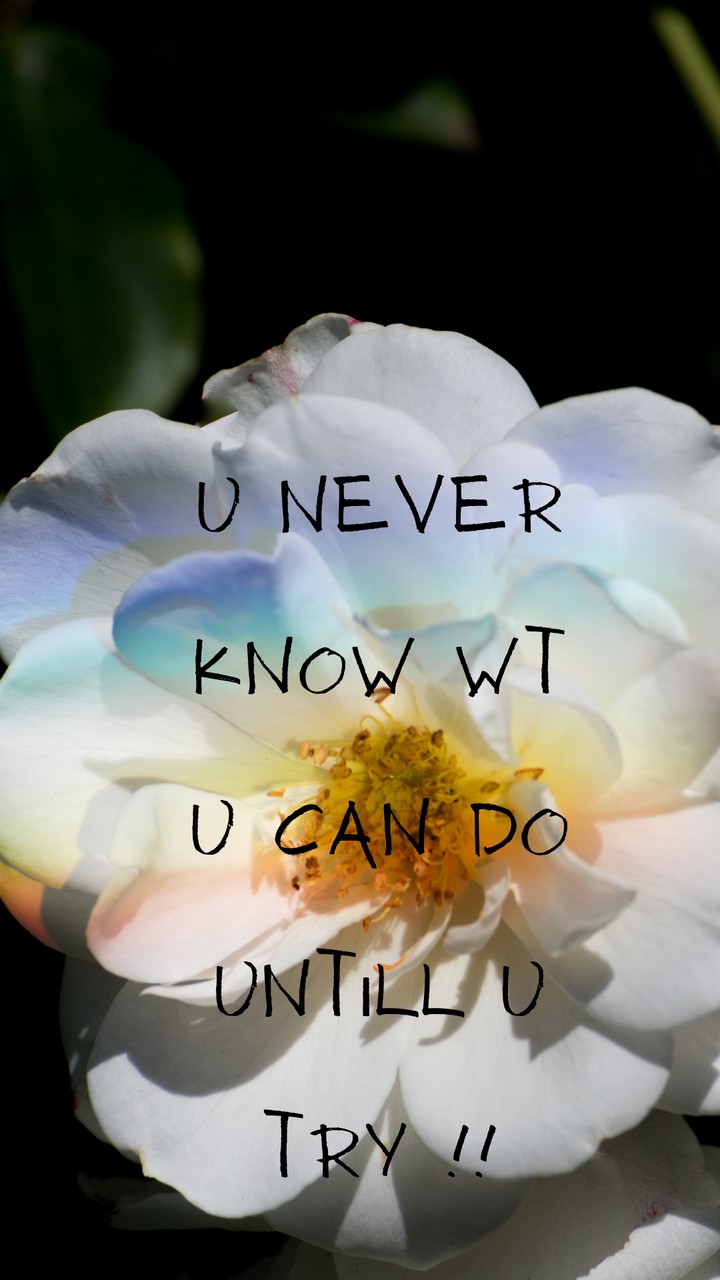 inspirational quotes