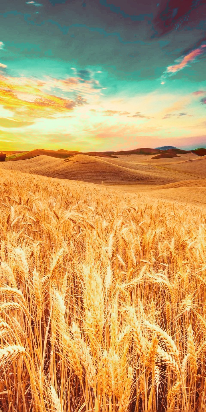 Country Side