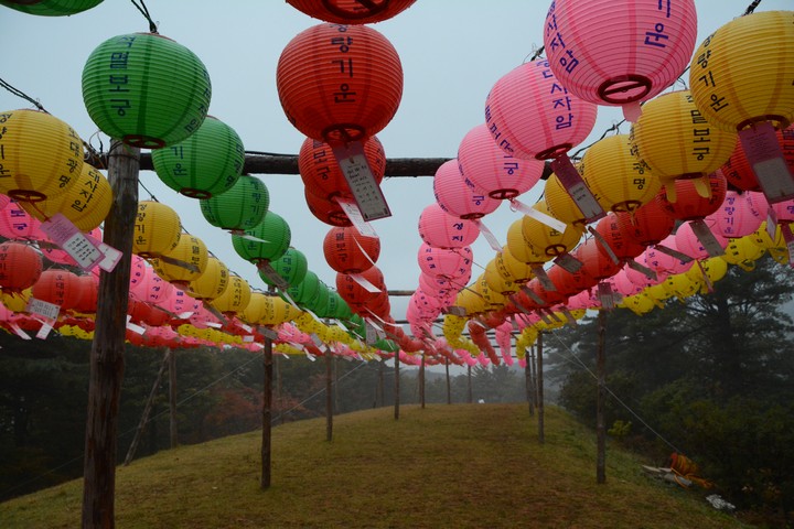 오대산이미지