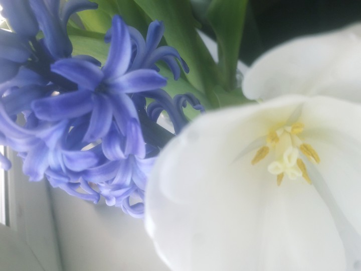 spring is here