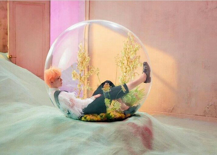 oh my jin