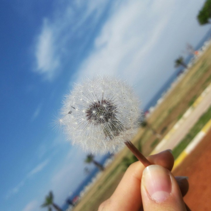 Hope