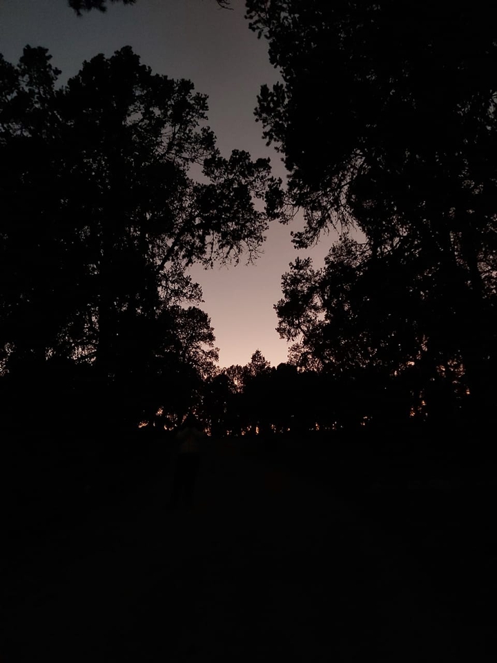 atardeceres