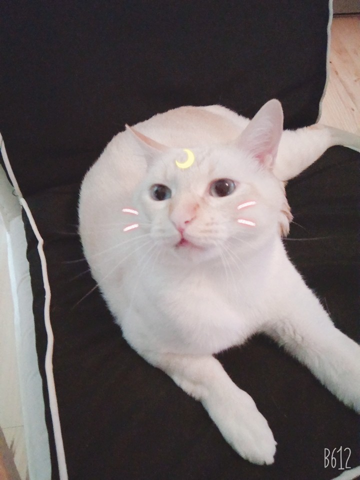 ?????