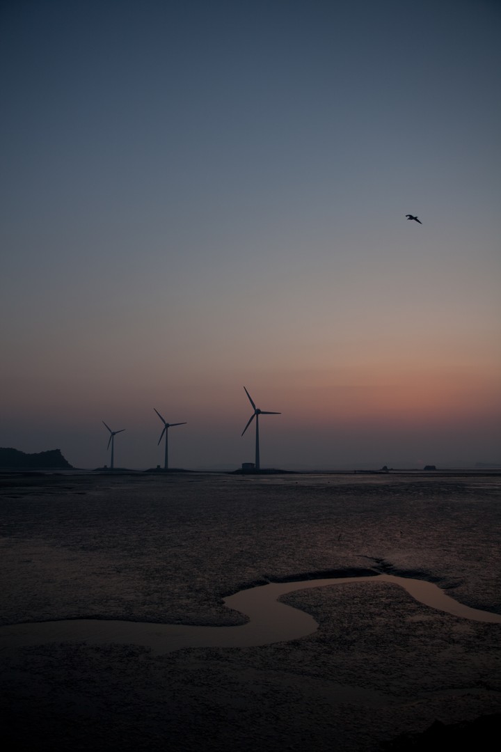 Mud Flat