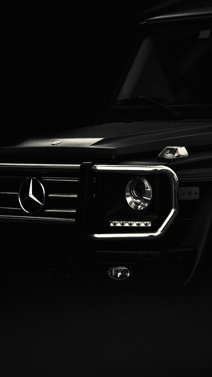 black beauty