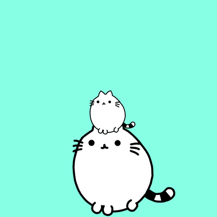 몽냥이 위에 몽냥이