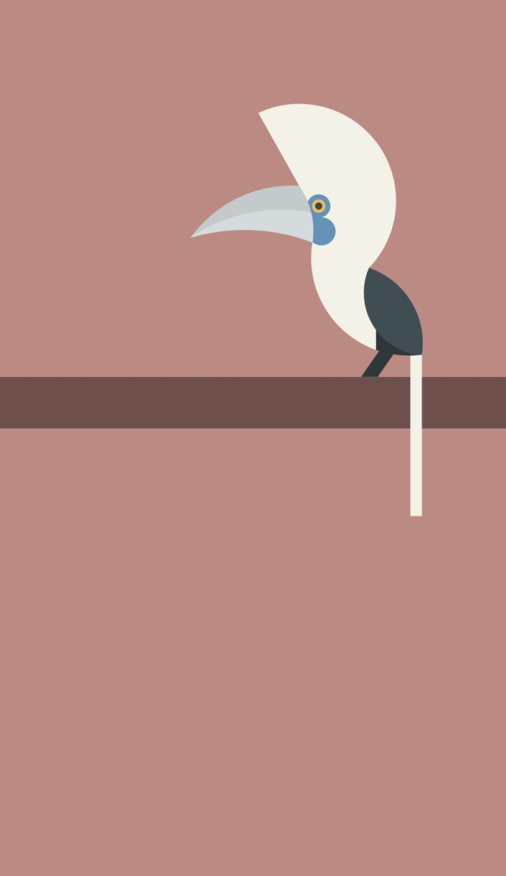crowned hornbill