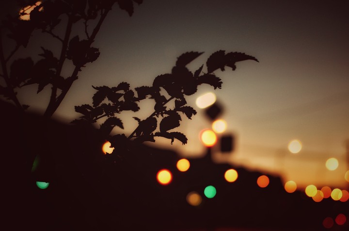 bokeh
