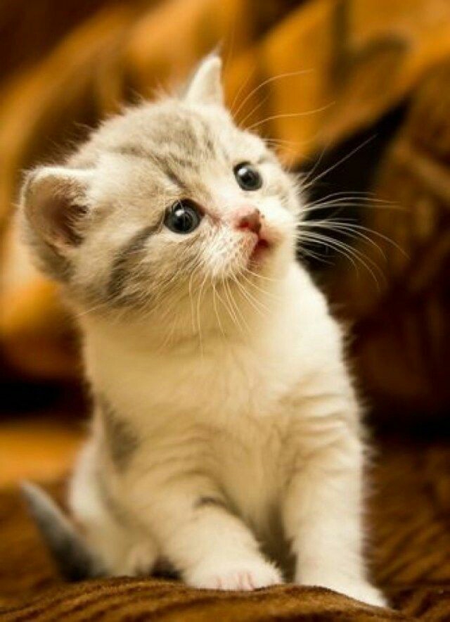 ❤❤❤