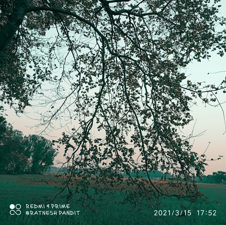 background photo