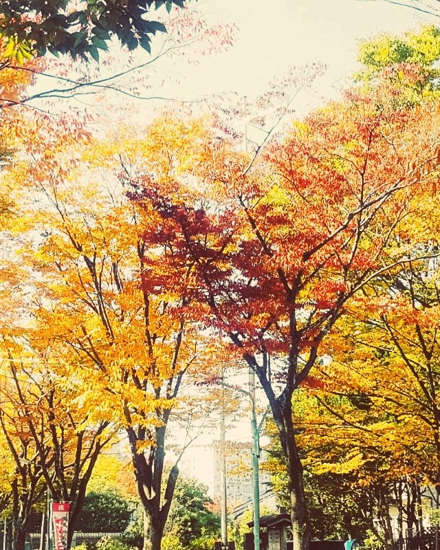 fall