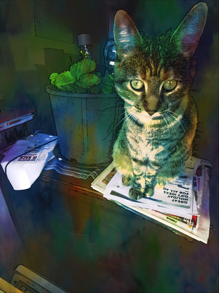 Watercolor cat