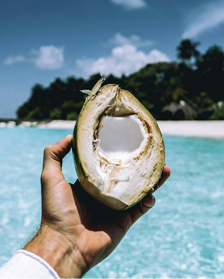 Coconut #Fun
