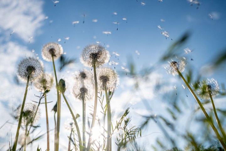 .