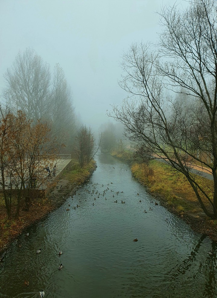 autumn