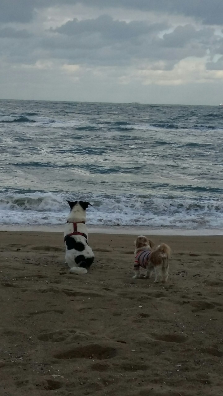 저 바다 건너엔 뭐가 있을까?