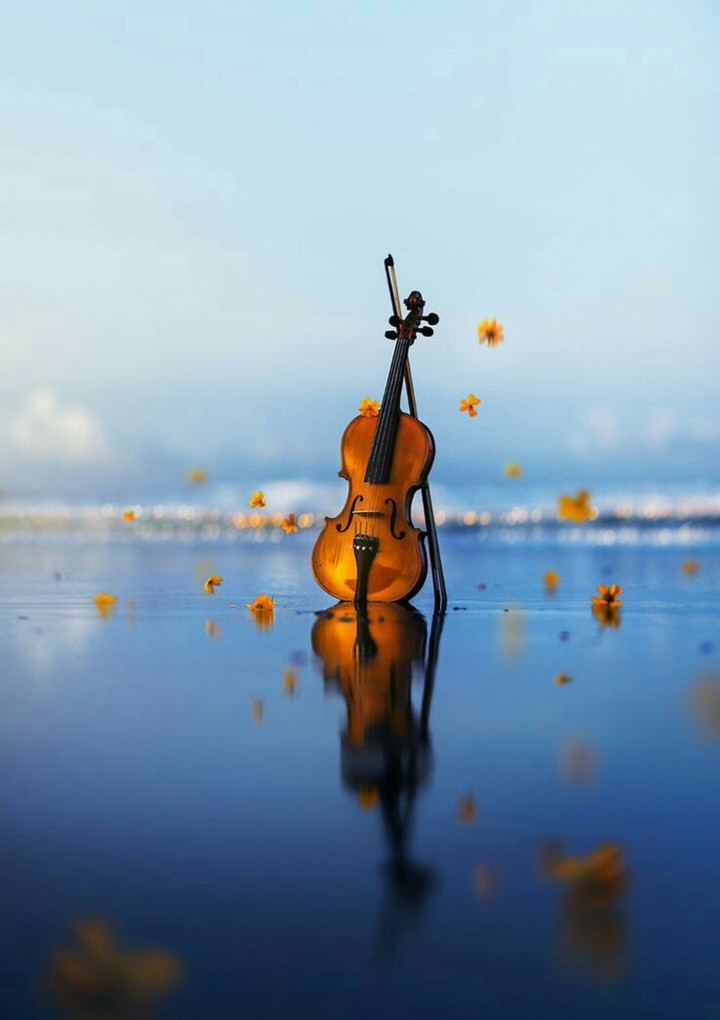 violin