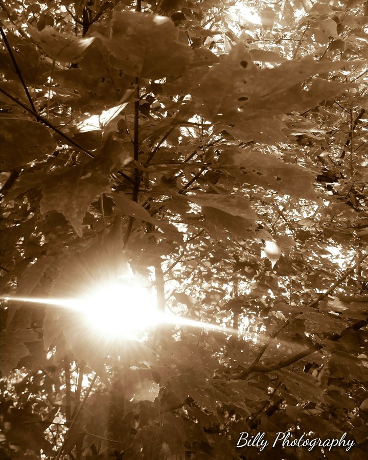 billy photography