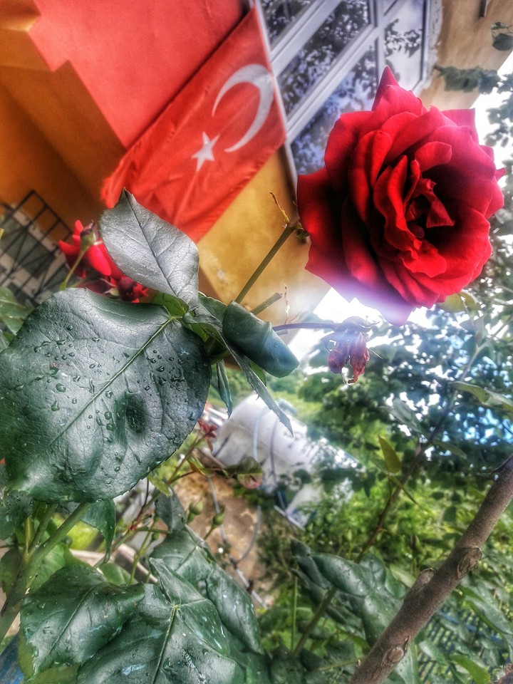 KASTAMONU ŞENPAZAR EDELER KÖYÜ