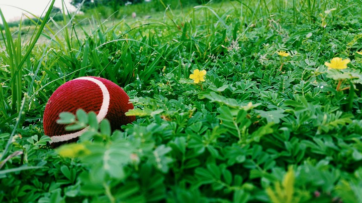 A ball in the grass with beautiful flowers