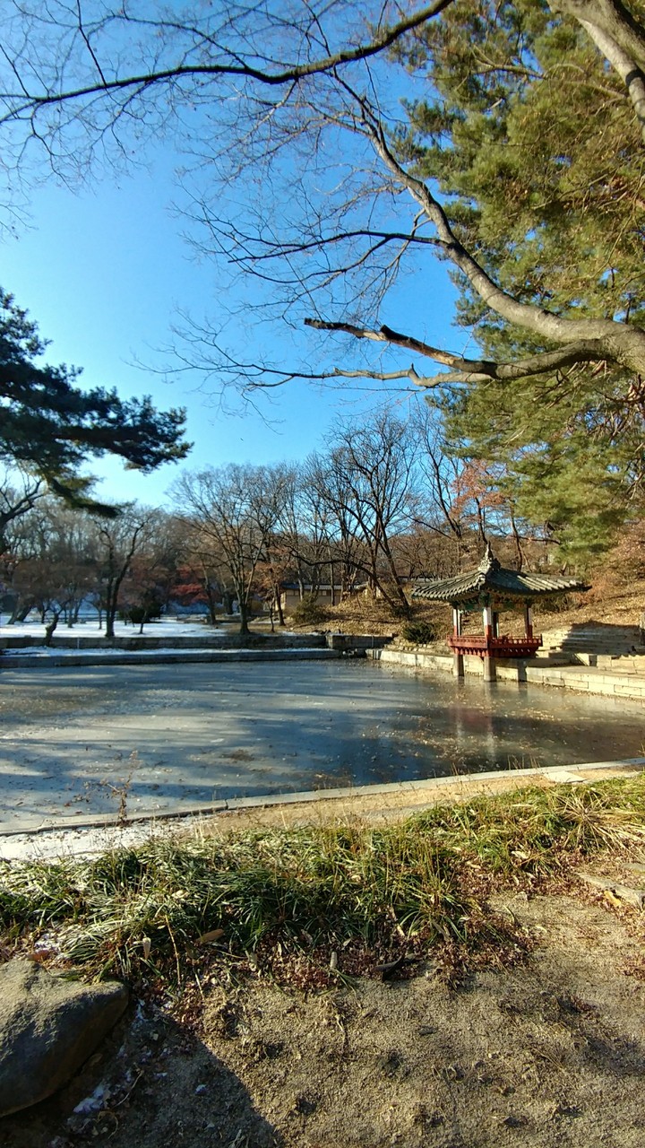 비원의 모습