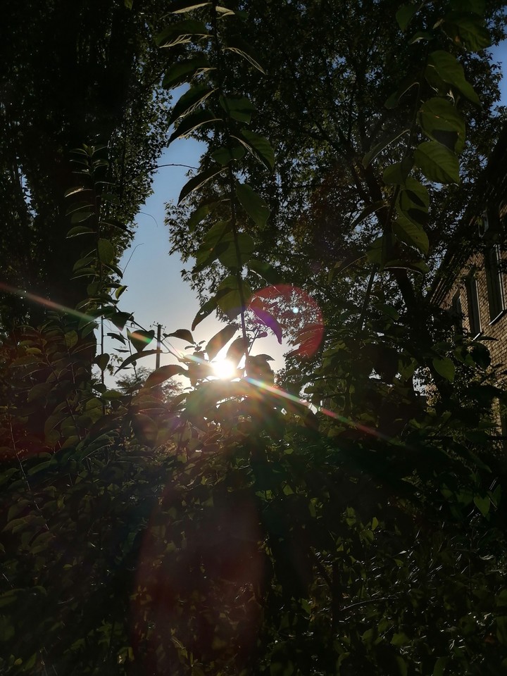 summer