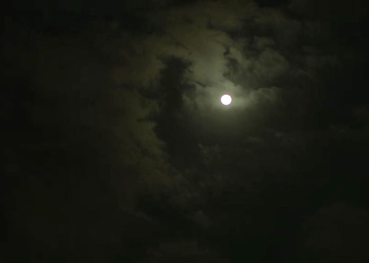 Moon light