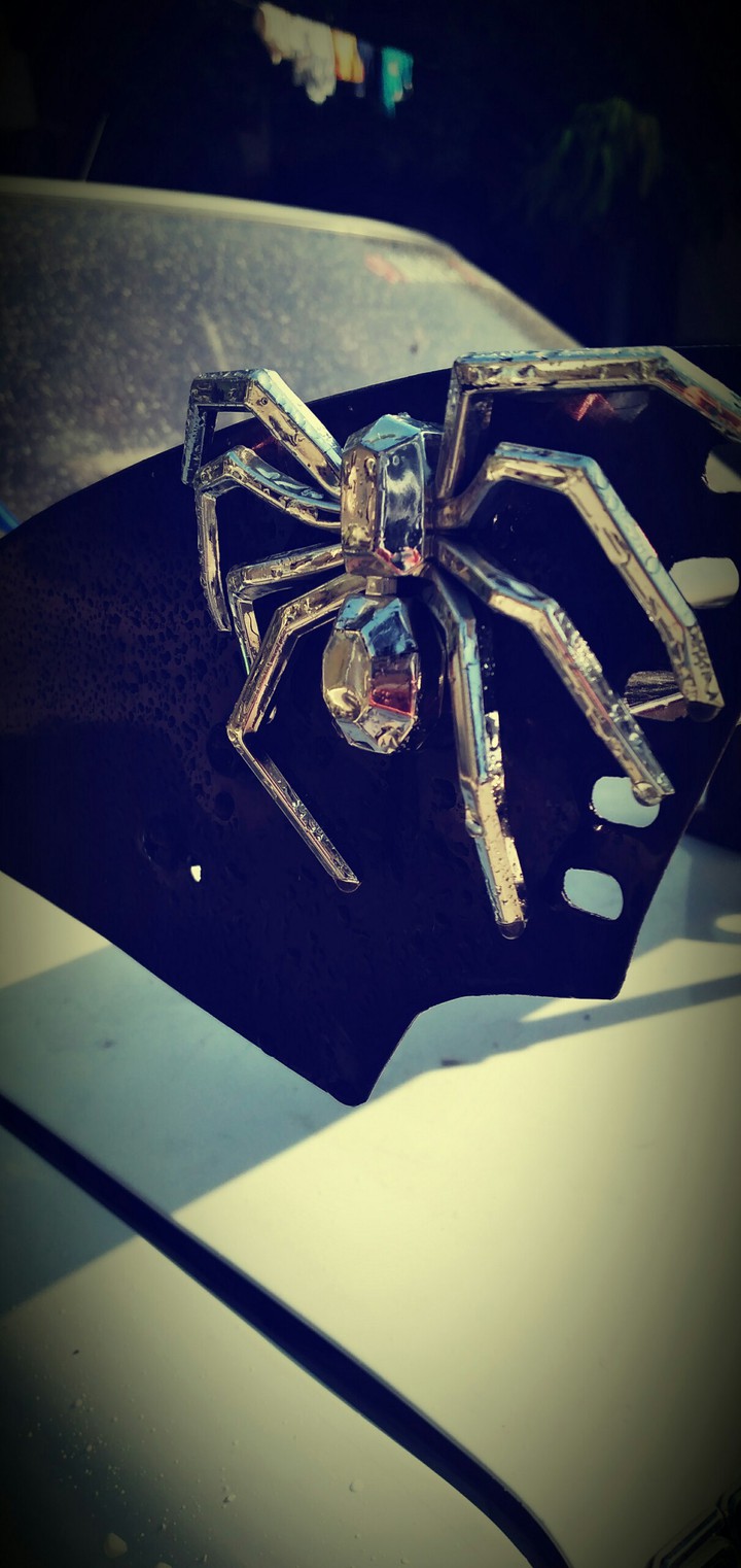 SPIDER LINK