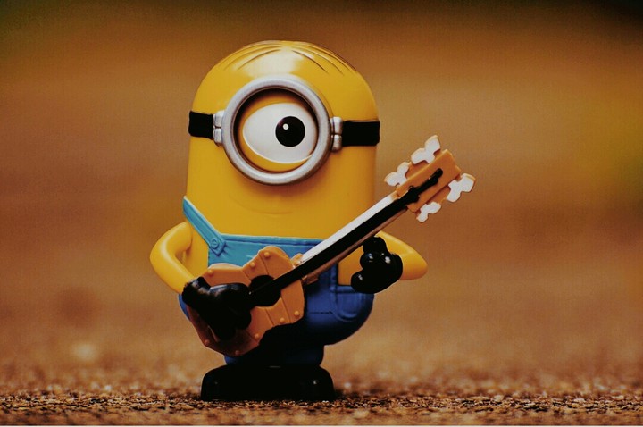 music lover