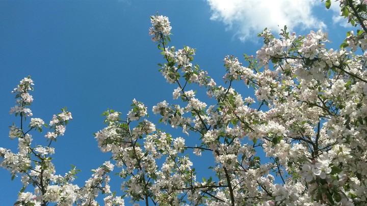 Frühling